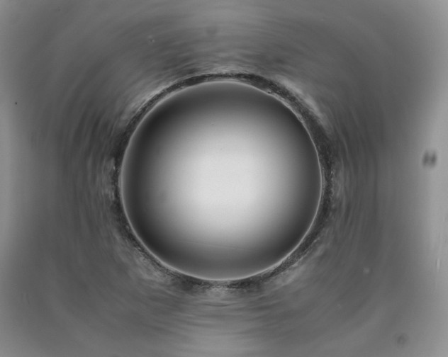 X0000090761265200707201456