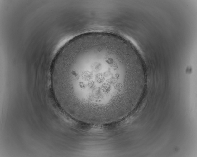 X0000090761267200707201456