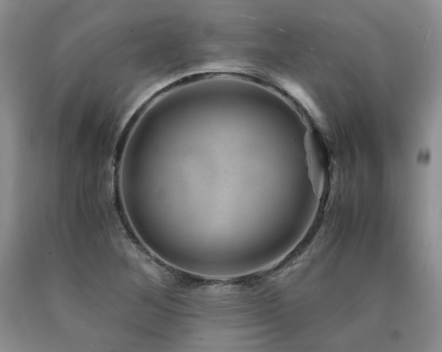 X0000090761268200707201456