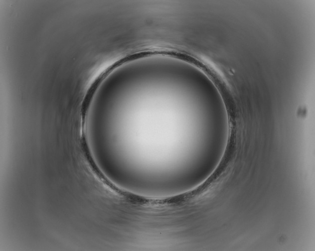 X0000090761269200707201456