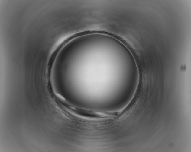 X0000090761270200707201456