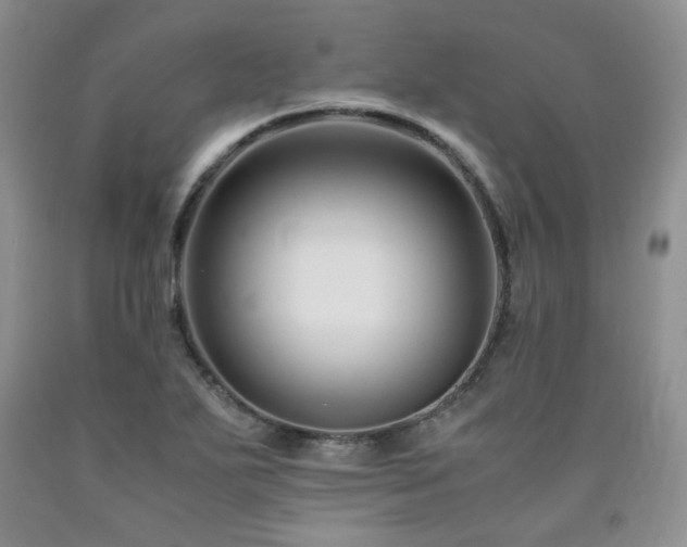 X0000090761271200707201456