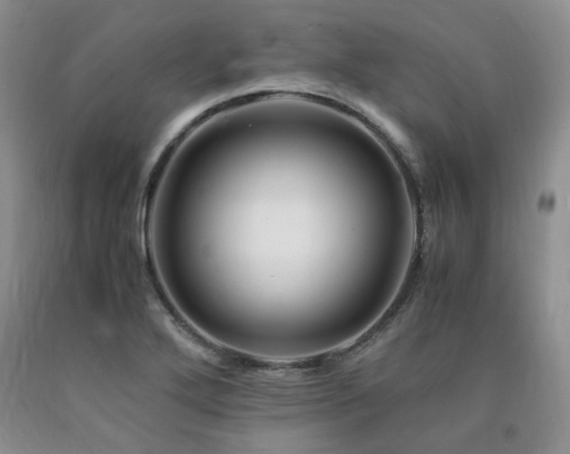 X0000090761272200707201456