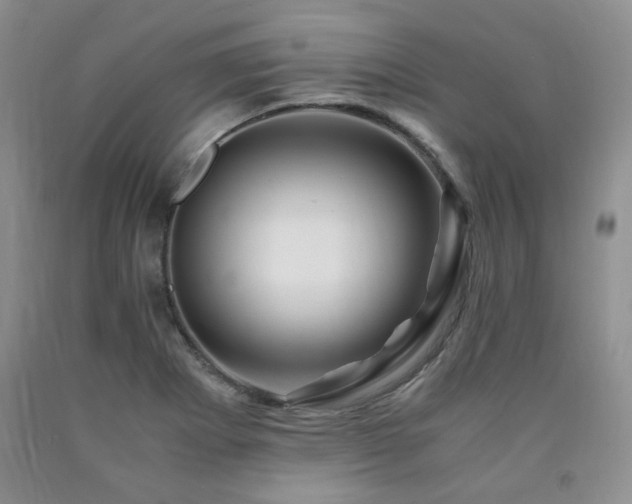 X0000090761273200707201456