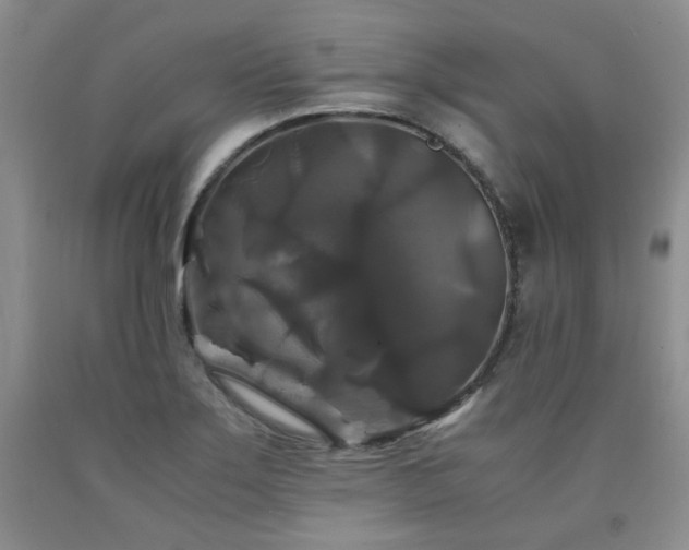 X0000090761275200707201456