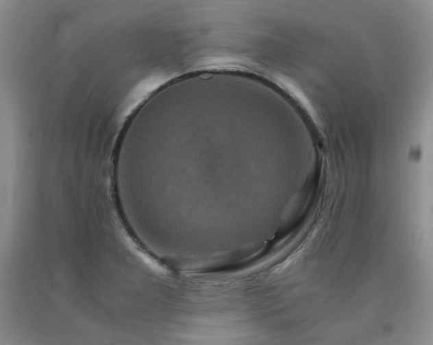 X0000090761277200707201456