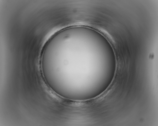 X0000090761278200707201456