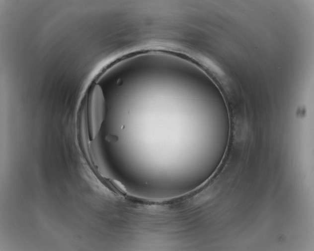 X0000090761280200707201456