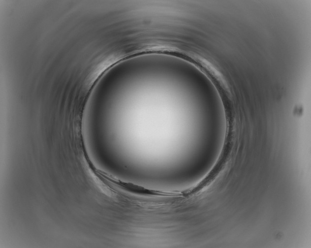 X0000090761281200707201456