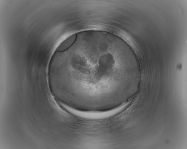 X0000090761283200707201456