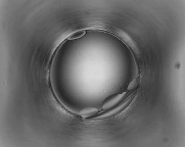 X0000090761284200707201456