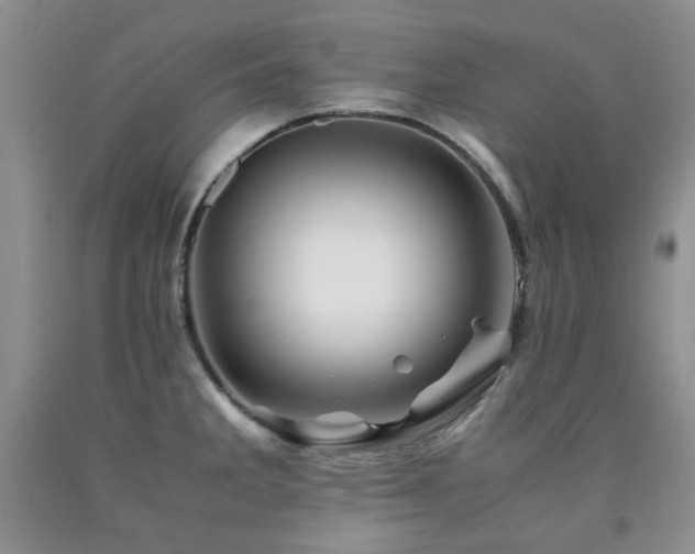 X0000090761285200707201456