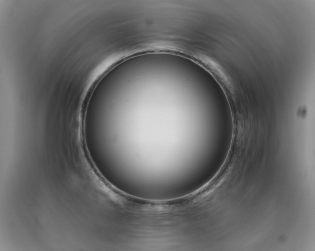 X0000090761286200707201456