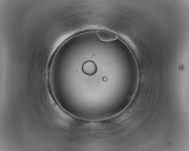 X0000090761287200707201456