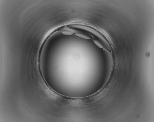 X0000090761288200707201456