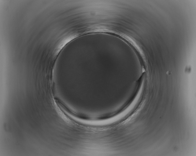 X0000090761289200707201456