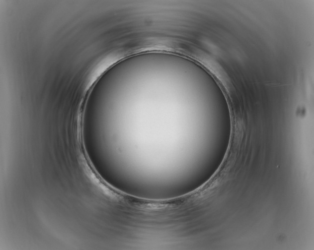 X0000090761290200707201456