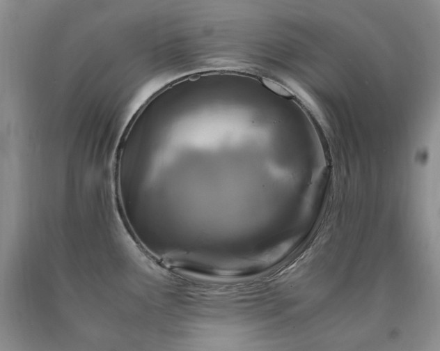 X0000090761291200707201456