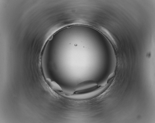 X0000090761292200707201456