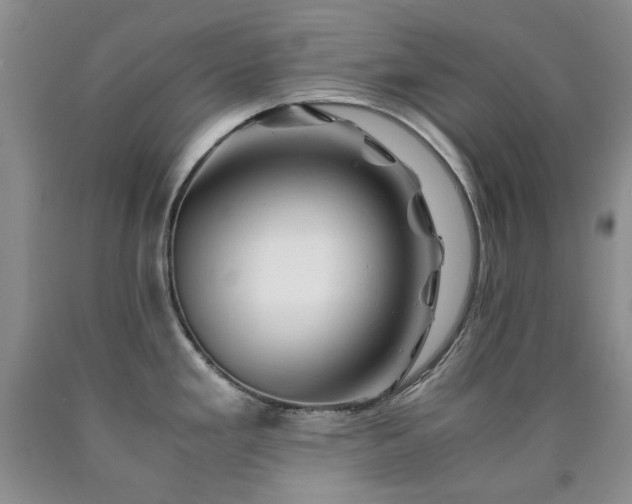 X0000090761293200707201456