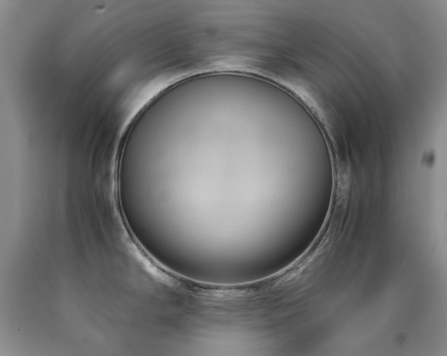 X0000090761294200707201456