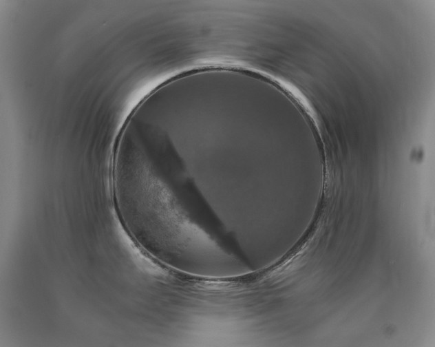 X0000090761295200707201456