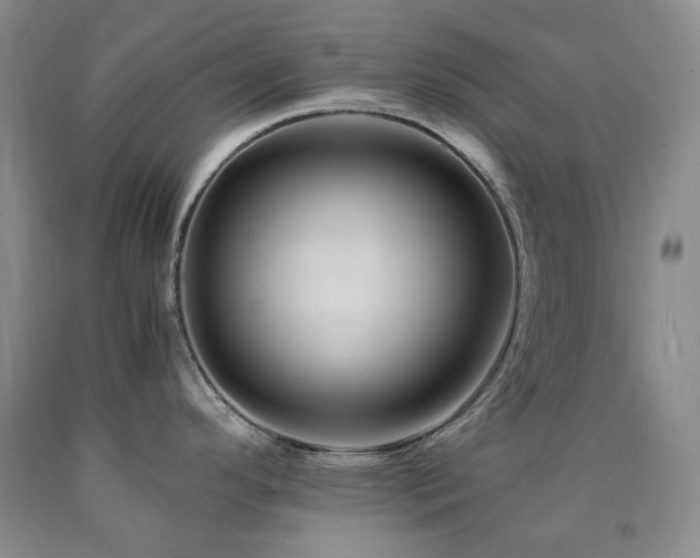 X0000090761296200707201456