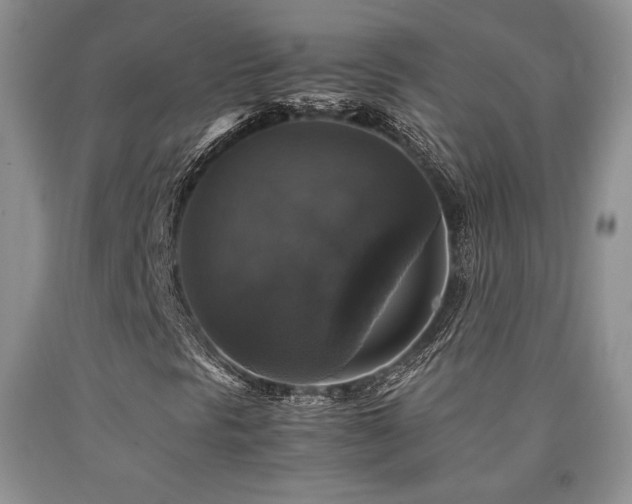 X0000090761297200707201455