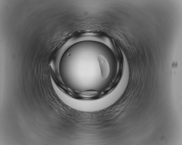 X0000090761298200707201455