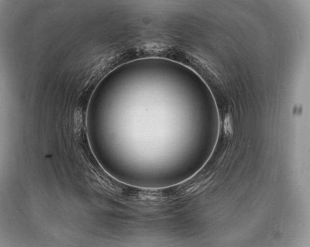 X0000090761299200707201455