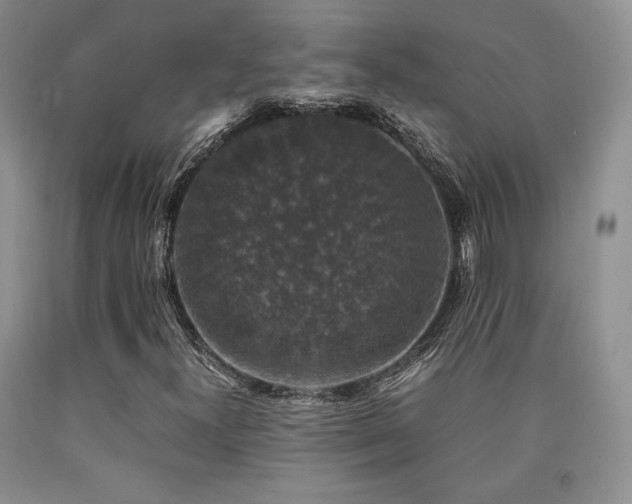 X0000090761300200707201455