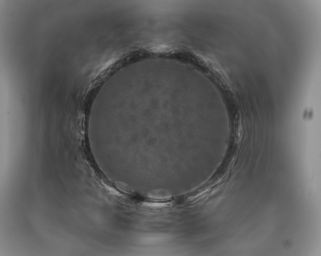 X0000090761301200707201455