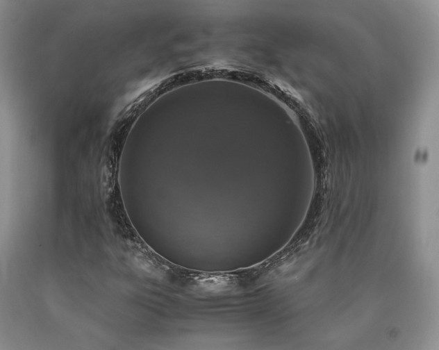 X0000090761303200707201455