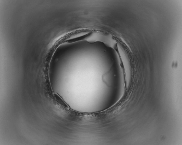 X0000090761304200707201455