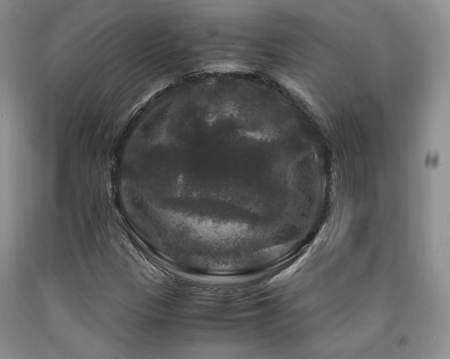 X0000090761305200707201455