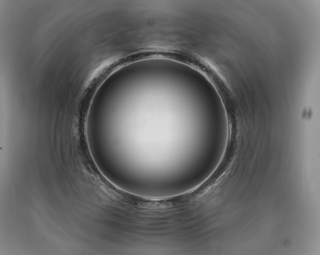 X0000090761307200707201455