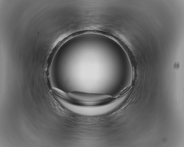 X0000090761308200707201455