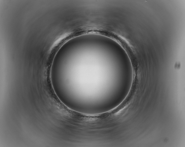 X0000090761309200707201455