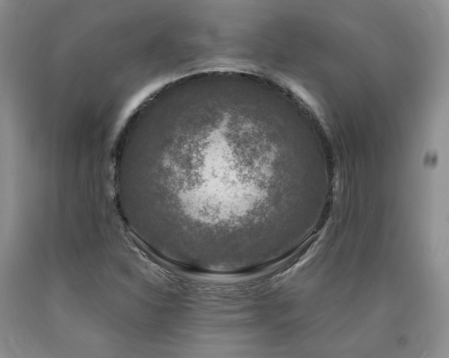 X0000090761310200707201455