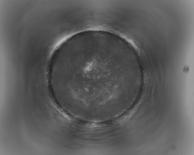 X0000090761311200707201455