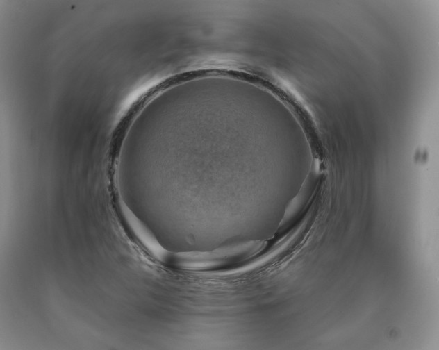 X0000090761312200707201455