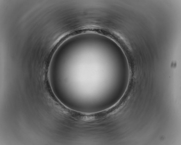 X0000090761313200707201455