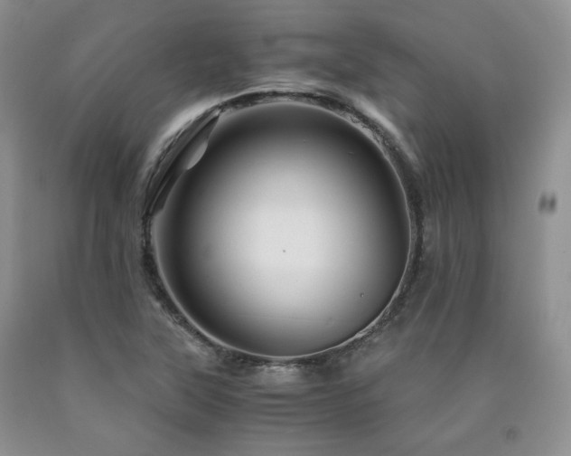 X0000090761315200707201455