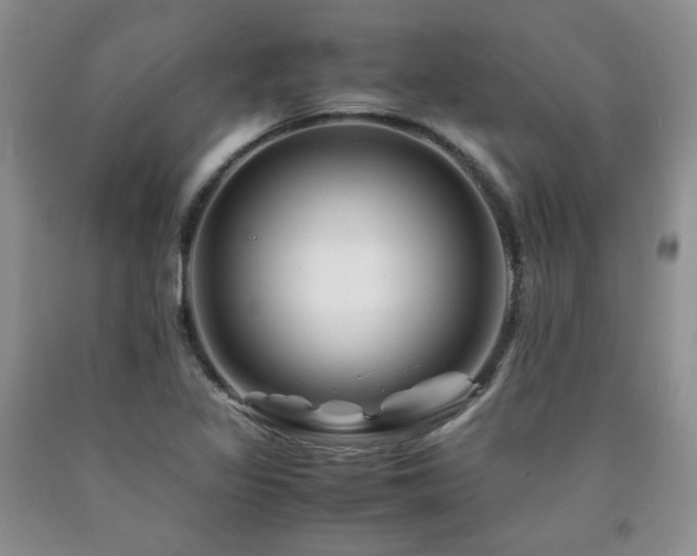 X0000090761317200707201455