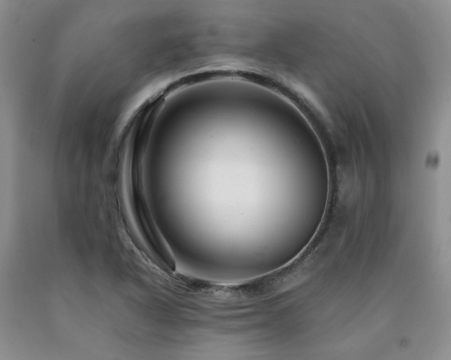 X0000090761318200707201455