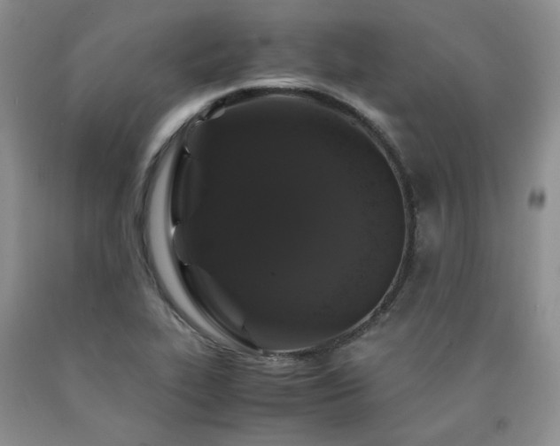 X0000090761319200707201455