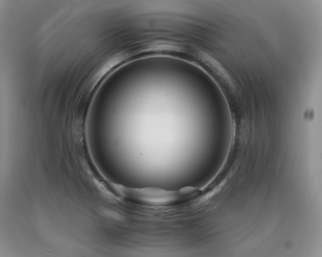 X0000090761321200707201455