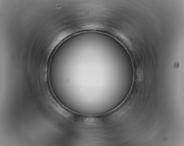 X0000090761322200707201455