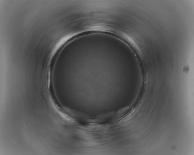 X0000090761323200707201455