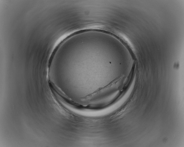 X0000090761324200707201455